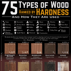 Janka Wood Hardness Scale Chart