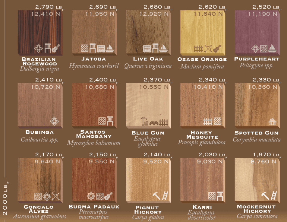 75 Types Of Wood Ranked By Janka Hardness And How They Are Used